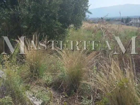 Οικόπεδο 460 τ.μ. 33.000 € Λαμία ΚΩΔ 52102KΗ