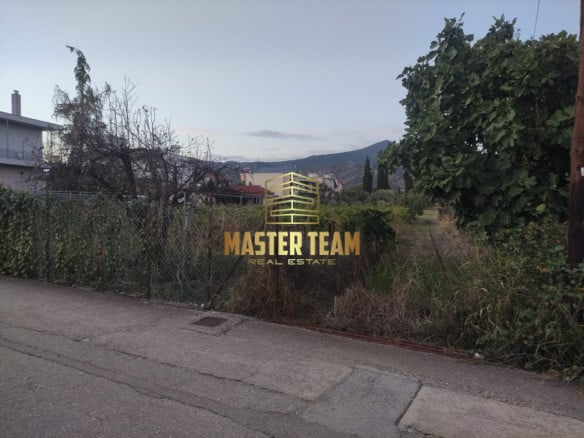 Πωλείται οικόπεδο/αγροτεμάχιο 1.300 τ.μ. στη Ροδίτσα Λαμίας ΚΩΔ 19100ΓΛ