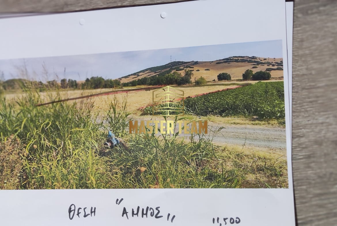 1170
