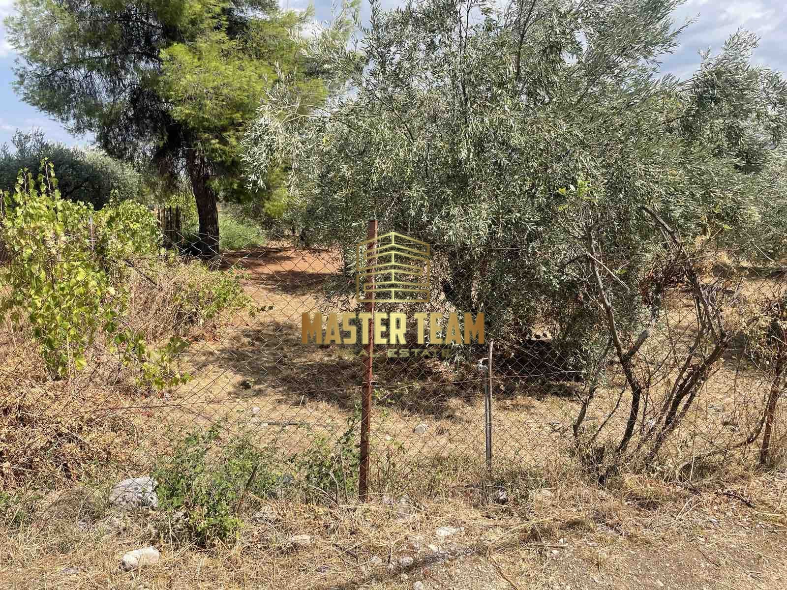 viber_image_2025-08-13_13-20-08-849 Γοργοπόταμος – Πωλείται Οικόπεδο 1.615 τ.μ. 42115ΓΛ