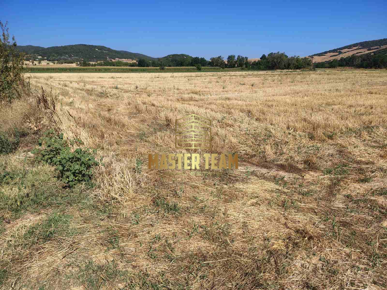 Πωλείται Αγροτεμάχιο – Μακρυρράχη Δομοκού (Καϊτσα) 11,5στρ. ΚΩΔ 42116ΜΓ