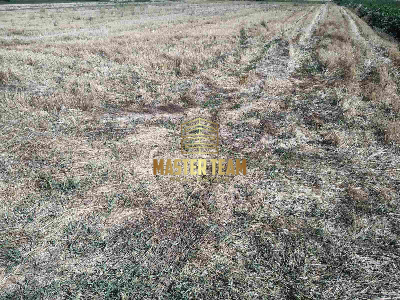 Πωλείται Αγροτεμάχιο – Μακρυρράχη Δομοκού (Καϊτσα) 11,5στρ. ΚΩΔ 42116ΜΓ