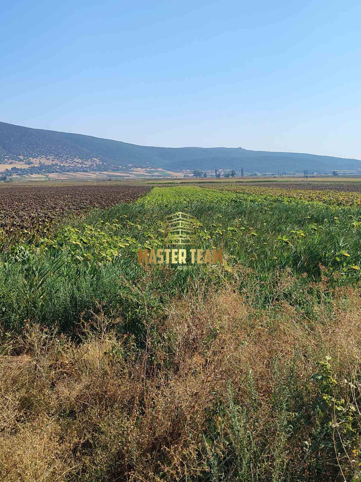 Πωλείται Αγροτεμάχιο – Μακρυρράχη Δομοκού (Καϊτσα) στην Λίμνη 4,5στρ. ΚΩΔ 42118ΜΓ