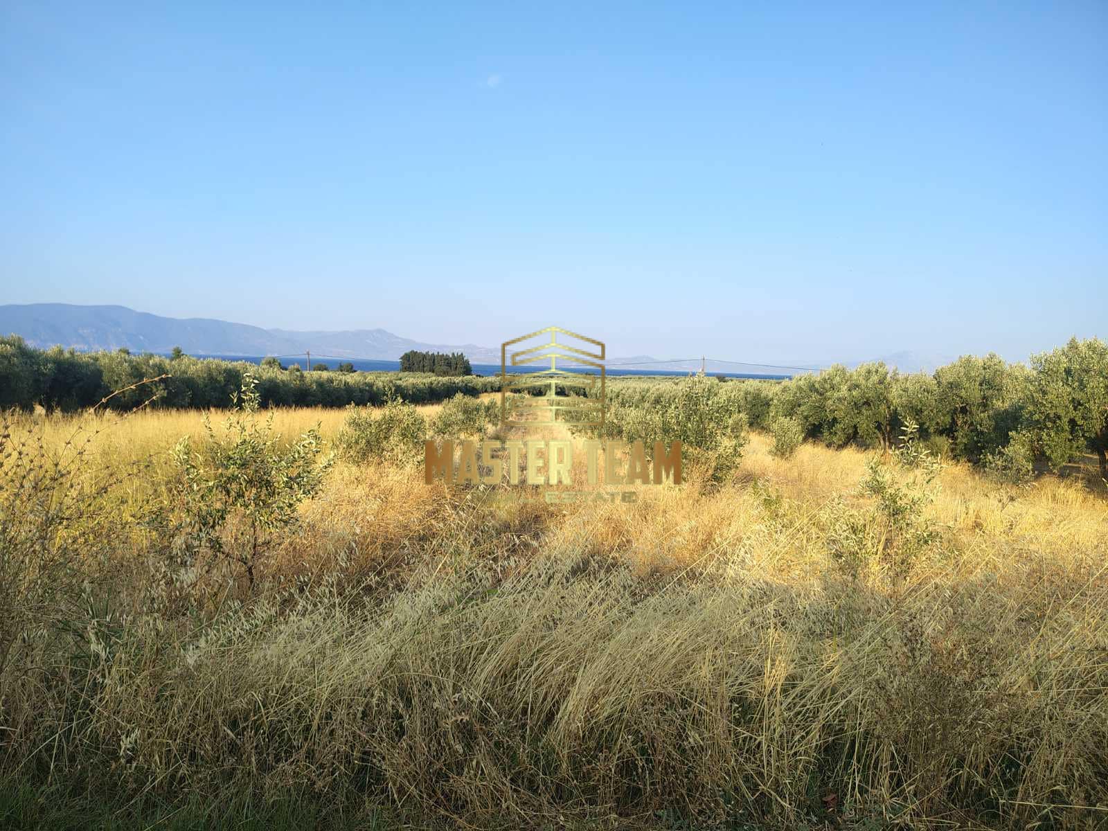 viber_image_2025-08-26_16-17-13-379 Πωλείται Οικόπεδο στην Αρκίτσα Φθιώτιδας – Ιδανικό για Επένδυση ΚΩΔ 82110ΜΓ