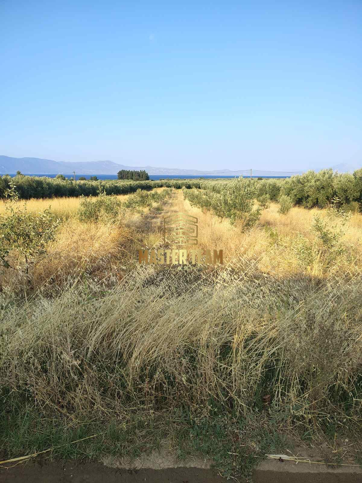 viber_image_2025-08-26_16-17-13-410 Πωλείται Οικόπεδο στην Αρκίτσα Φθιώτιδας – Ιδανικό για Επένδυση ΚΩΔ 82110ΜΓ