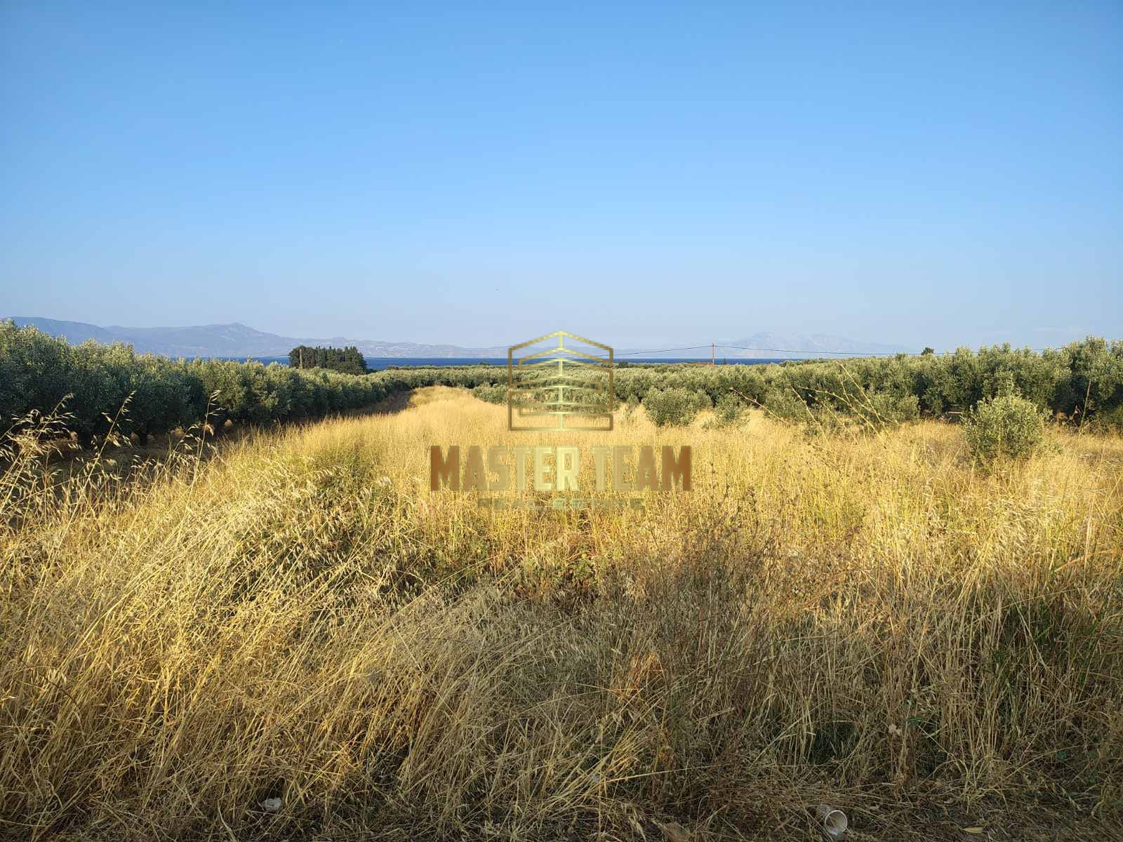 viber_image_2025-08-26_16-17-13-657 Πωλείται Οικόπεδο στην Αρκίτσα Φθιώτιδας – Ιδανικό για Επένδυση ΚΩΔ 82110ΜΓ