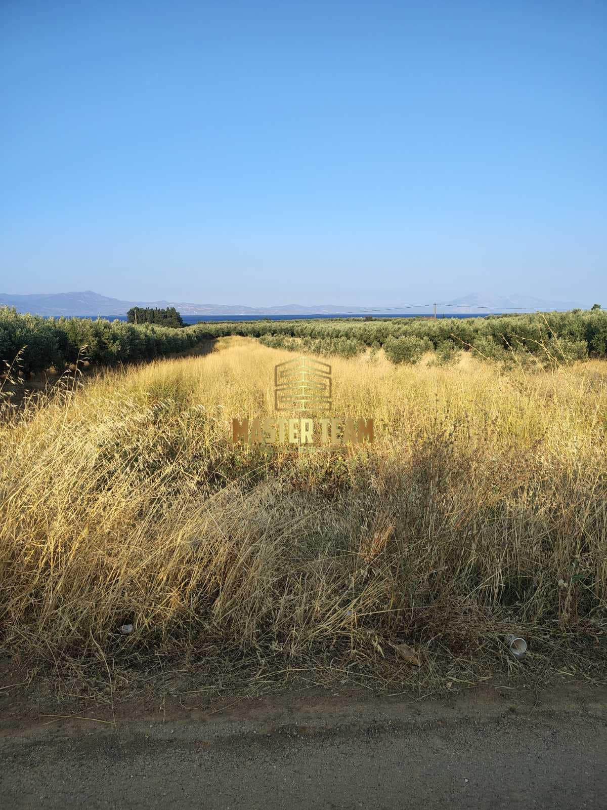 viber_image_2025-08-26_16-17-14-084 Πωλείται Οικόπεδο στην Αρκίτσα Φθιώτιδας – Ιδανικό για Επένδυση ΚΩΔ 82110ΜΓ