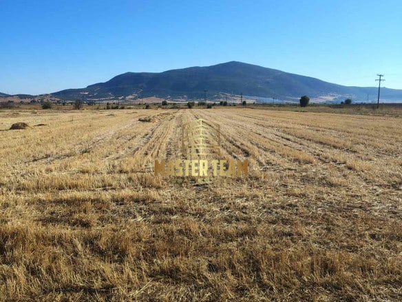 Πωλείται Αγροτεμάχιο 12 Στρεμμάτων – Μακρυρράχη Δομοκού (Περιοχή Λίμνη) ΚΩΔ 42119ΜΓ
