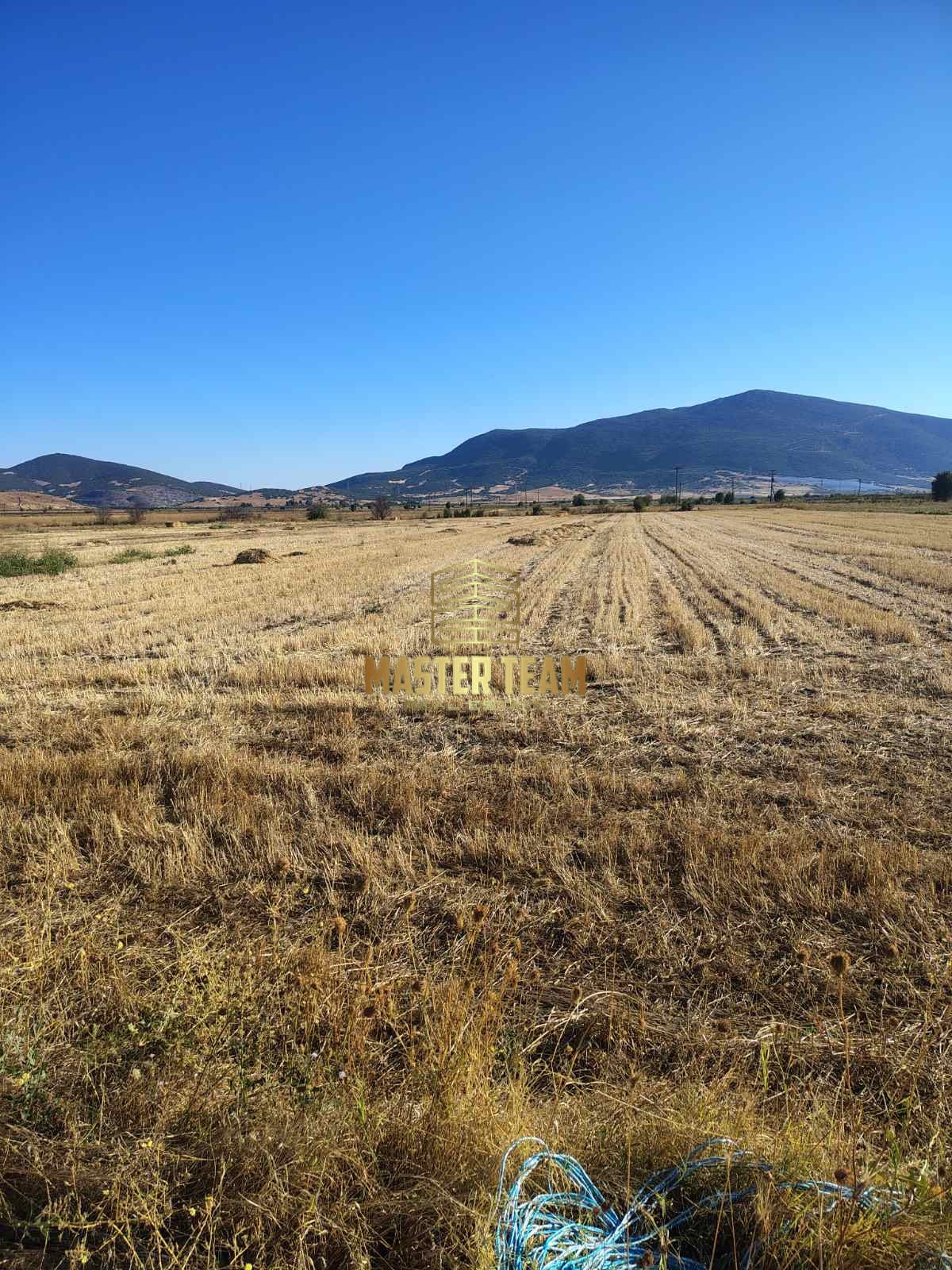 Πωλείται Αγροτεμάχιο 12 Στρεμμάτων – Μακρυρράχη Δομοκού (Περιοχή Λίμνη) ΚΩΔ 42119ΜΓ