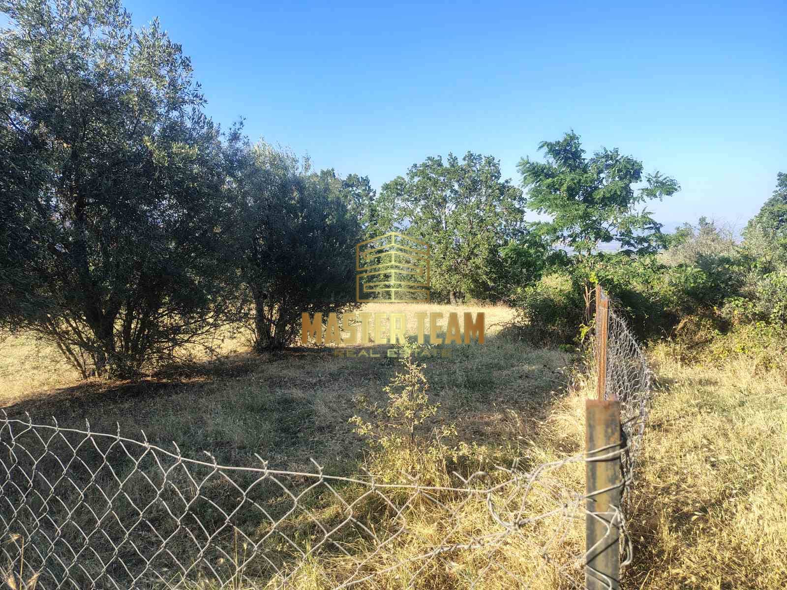 Πωλείται αγροτεμάχιο στη Φτέρη Φθιώτιδας 42125ΜΓ