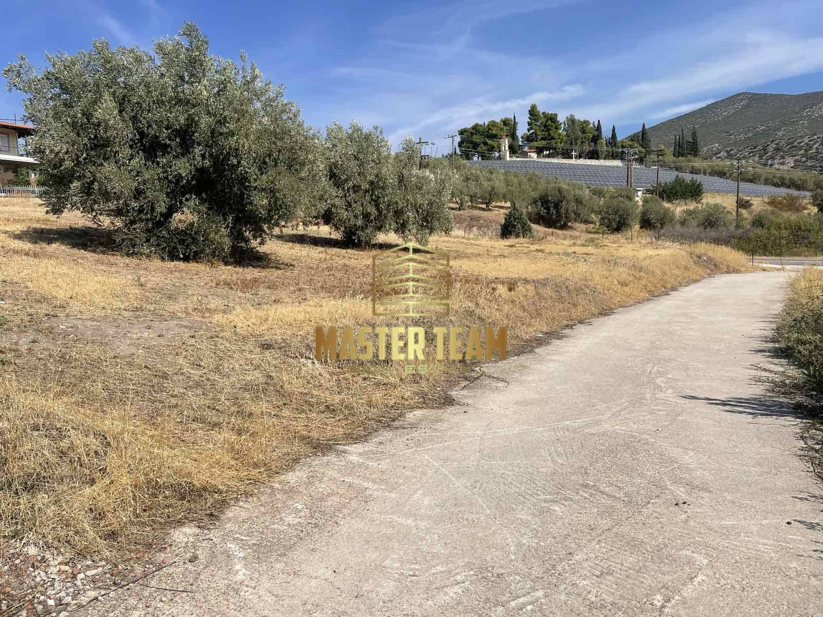 viber_image_2025-11-17_13-51-29-185 Πωλείται προνομιακό οικόπεδο συνολικής έκτασης 4.717 τ.μ., Ταράτσα Λαμία, 82111ΓΛ
