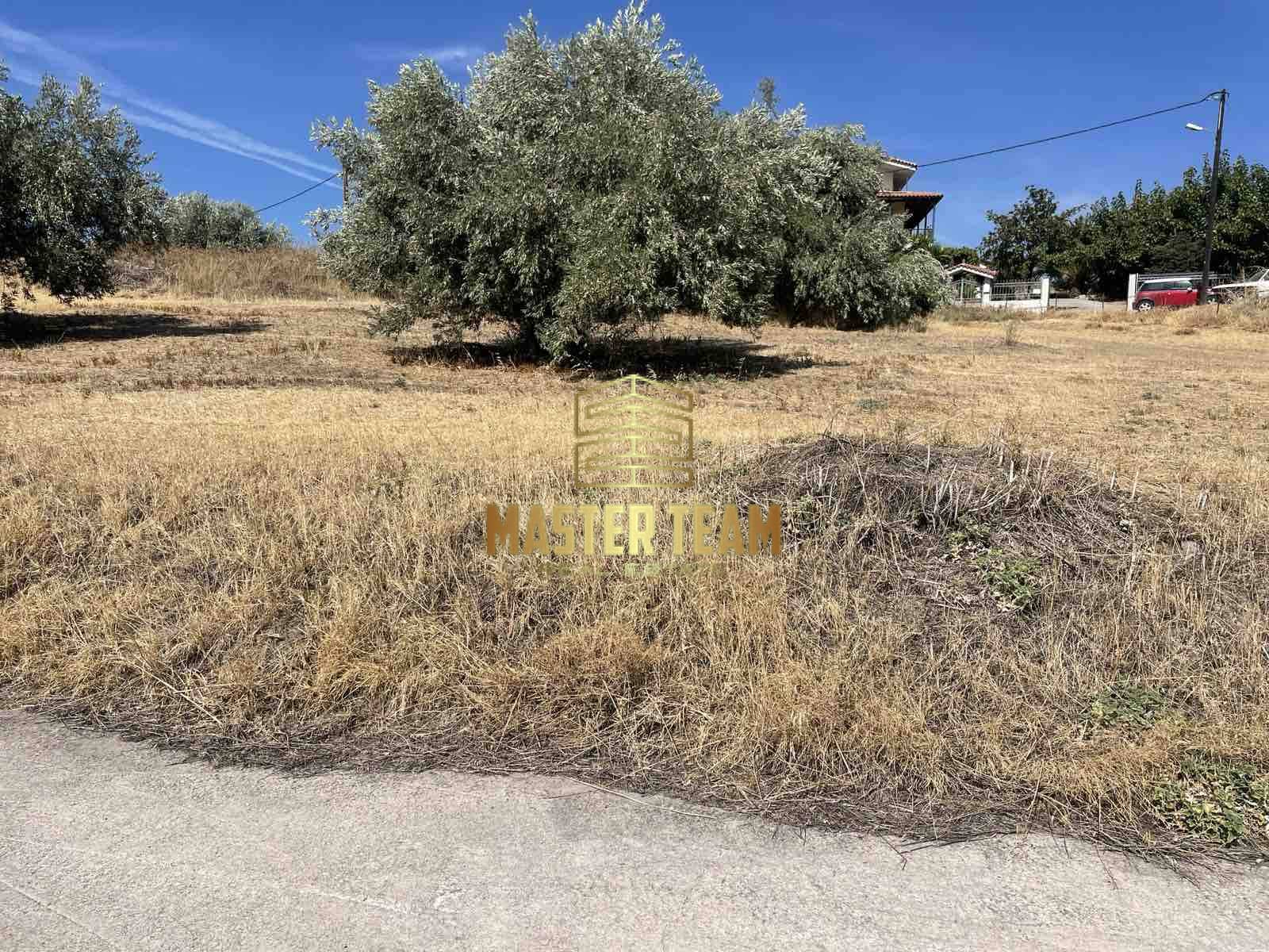 viber_image_2025-11-17_13-51-31-188 Πωλείται προνομιακό οικόπεδο συνολικής έκτασης 4.717 τ.μ., Ταράτσα Λαμία, 82111ΓΛ