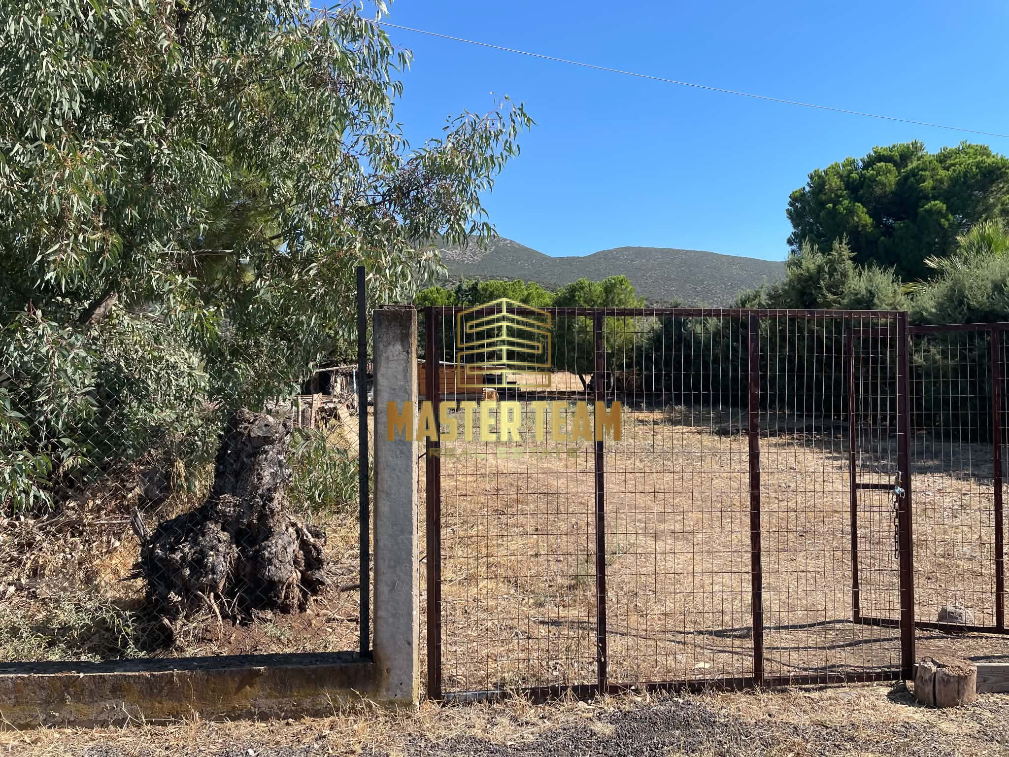 🌿 ΠΩΛΕΙΤΑΙ ΑΓΡΟΤΕΜΑΧΙΟ 1.000 τ.μ. ΣΤΑ ΓΑΛΑΝΕΪΚΑ — 38.000€ ΚΩΔ 52131ΔΧ