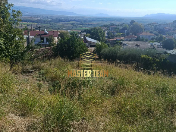 🌿 ΠΩΛΕΙΤΑΙ ΟΙΚΟΠΕΔΟ 300 τ.μ. ΣΤΟ ΦΡΑΤΖΗ ΛΑΜΙΑΣ – ΕΥΚΑΙΡΙΑ ΚΩΔ 42147ΔΧ